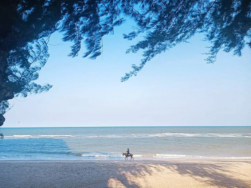 Sandy Beach Condo ติดหาดชะอำ (หาดส่วนตัว) 72 ตารางเมตร ชั้น15 วิวทะเล 180 องศา ตกแต่งพร้อมอยู่ 7