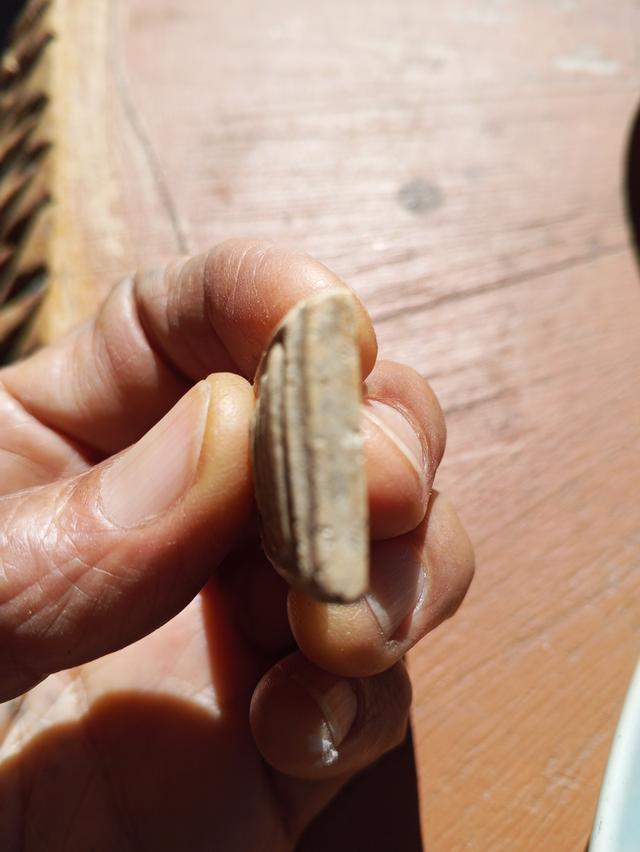 พระสมเด็จวัดระฆังพิมพ์ใหญ่