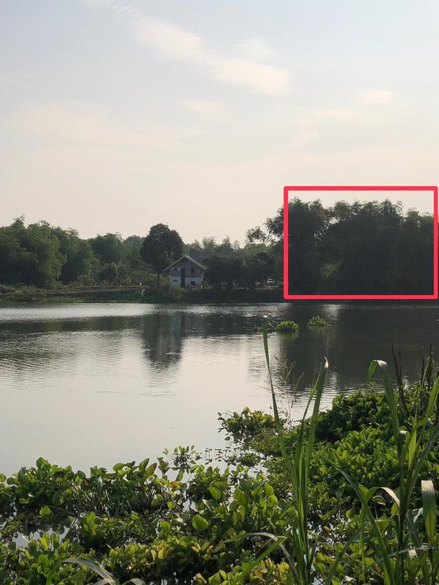 ที่ดินสวยๆ ริมแม่น้ำสะแกกรัง ใกล้วัดท่าซุง อ.เมือง จ.อุทัยธานี 2
