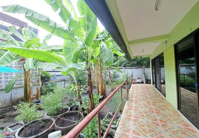 ขายบ้าน หมู่บ้านร่มเย็น 3 ชุมชนเฟื่องฟ้า ถนนสุขุมวิท เมืองสมุทรปราการ เนื้อที่ 100 ตร.ว. 9