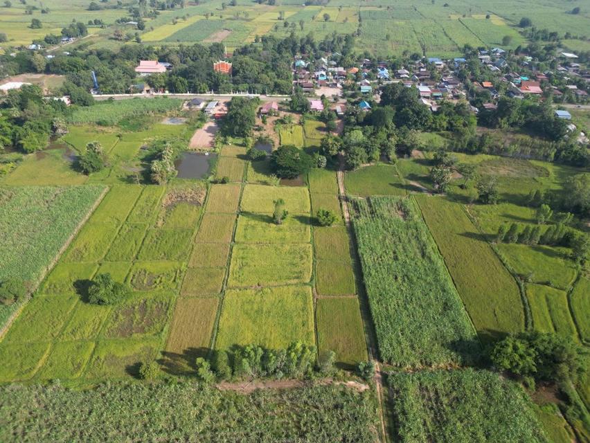 ที่ดินจังหวัดขอนแก่นราคาพิเศษ 4