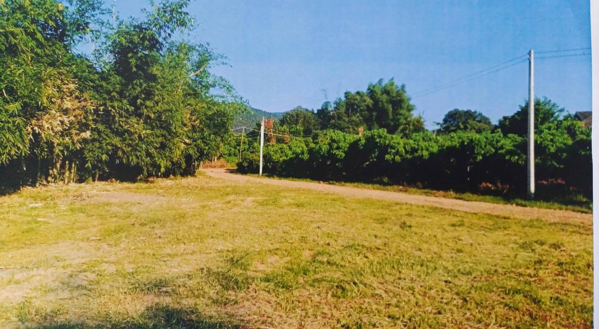 ขายที่ดินติดแม่น้ำปิง วิวธรรมชาติสุดปัง 2 ไร่ 3 งาน 27.0 ตารางวา 5