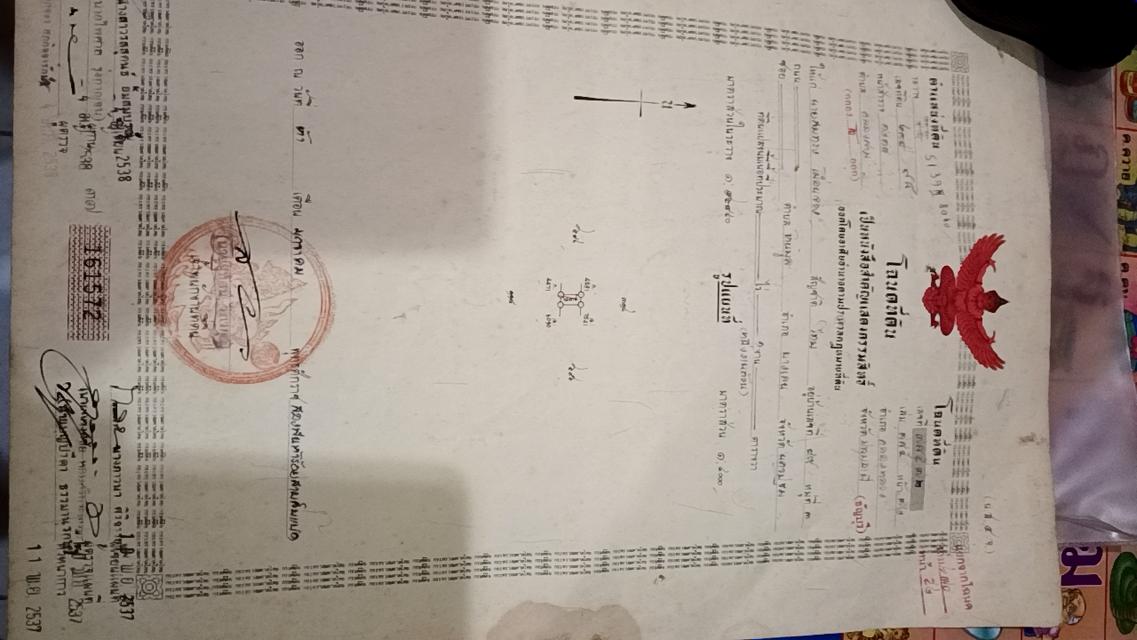 ที่ดินเปล่าคลองสาม คลองหลวง100ตรว. 1