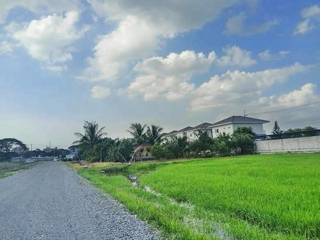 ที่ดิน คลอง 9 ธัญญะ ลำลูกกา ใกล้รังสิตนครนายก-คลอง 9 ธัญญะ ฝั่งลำลูกกา ปทุมธานี T.062-1574449 3