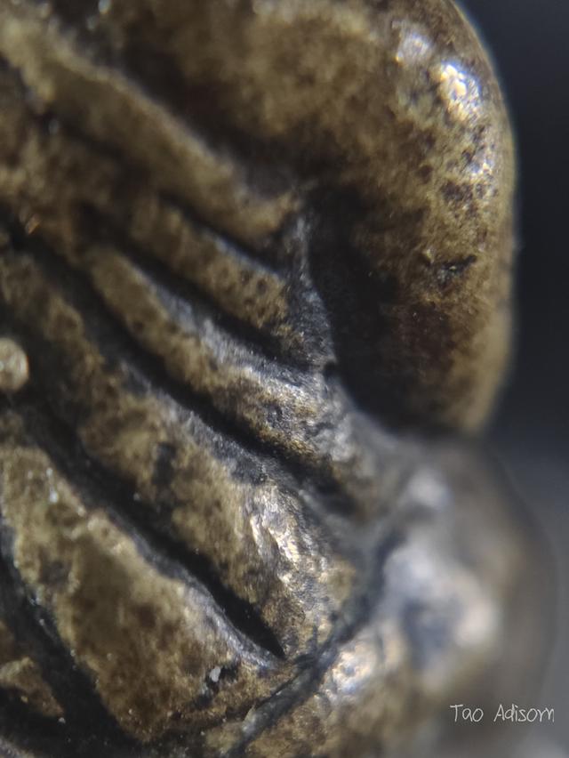 พระหลวงพ่อเงินวัดบางคลาน 7