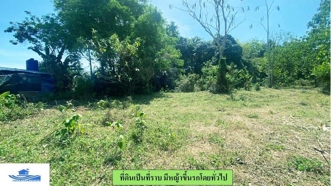 ขายที่ดินซอยบางแป ภูเก็ต 8