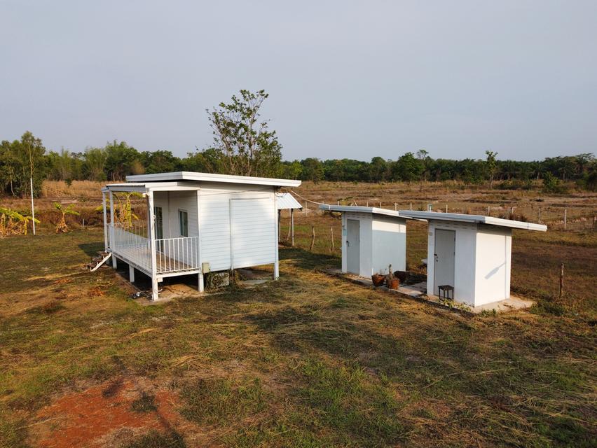 ขายที่ดิน 3 ไร่ ในเขตเทศบาล อ.บ้านม่วง สกลนคร พร้อมอาคารใหญ่ ทำรีสอร์ท บ้านเช่า โกดังหรือศูนย์กระจายสินค้าได้ทันที 9