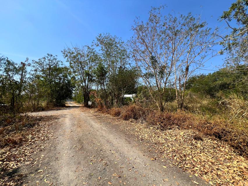 ที่ดิน 100 ตร.ว. อำเภอเมืองลพบุรี เพียง 450,000 บาท ติดโรงเรียน | สนามกอล์ฟ ‼️ 3