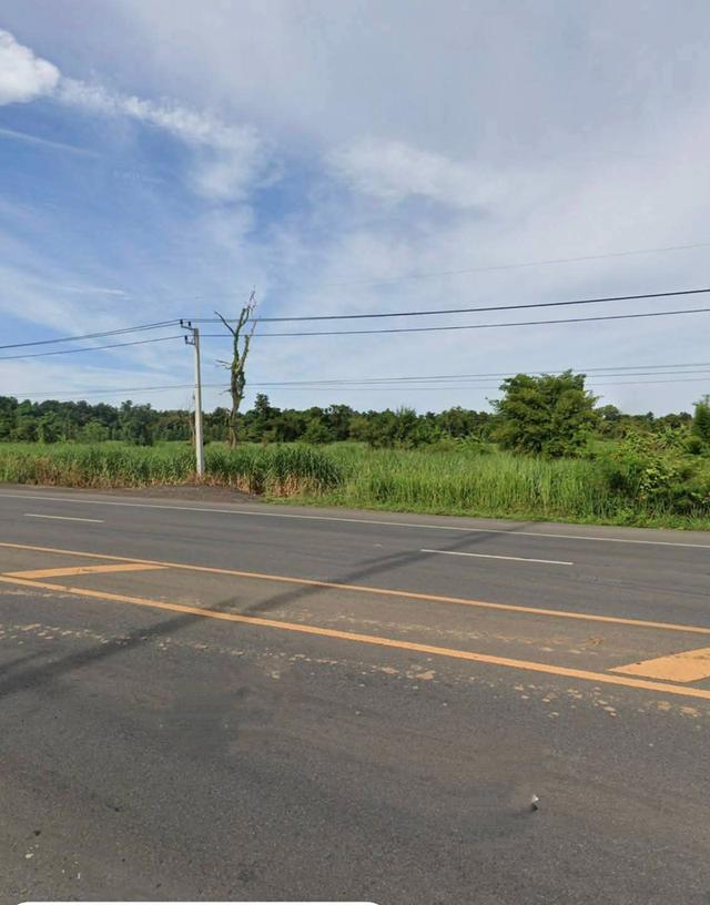 ขายที่ดิน44ไร่ตำบลทุ่งอรุณอำเภอโชคชัยจังหวัดนครราชสีมา 2