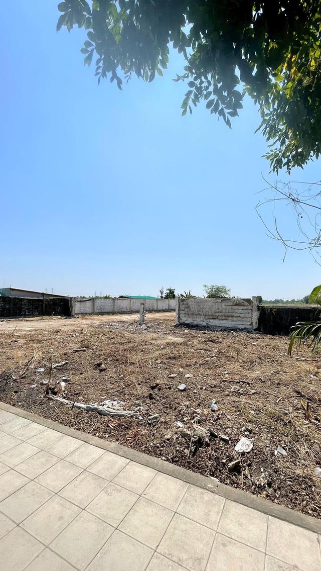 ขายที่ดินคลองสามวา เนื้อที่ 5-0-80 ไร่ 9