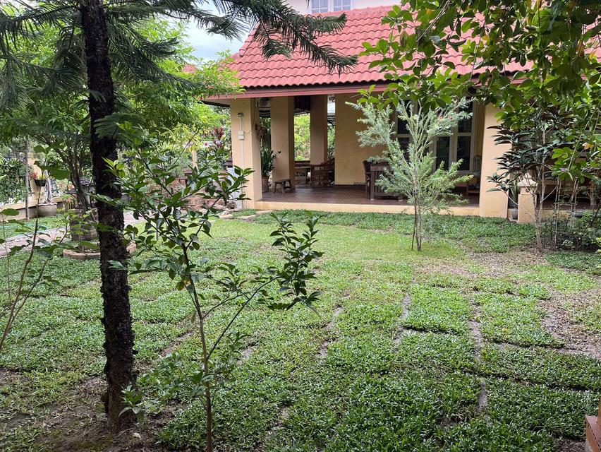 บ้านให้เช่าในหมู่บ้านรุ่งอรุณ 3 - โซนหางดง เชียงใหม่ 8