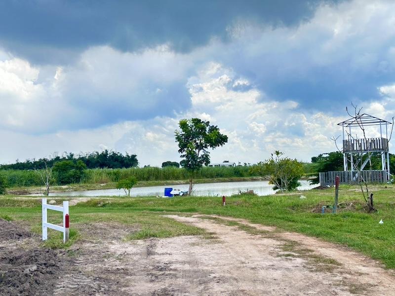 ที่ดิน ชะอำ เพชรบุรี ขนาด 1 ไร่ 980,000 บาท 13
