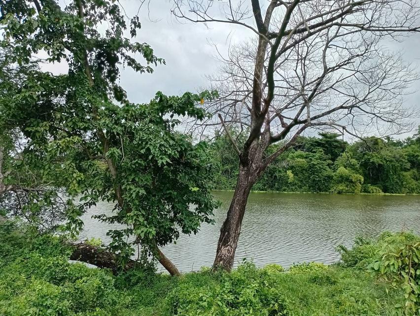 ที่ดินริมแม่น้ำป่าสัก จังหวัดสระบุรี