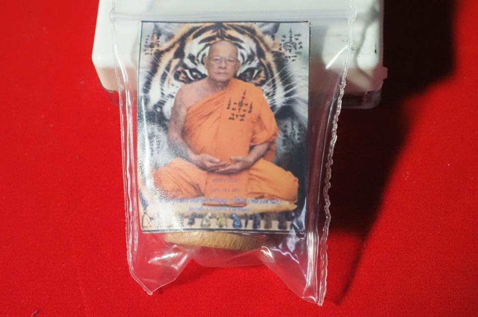 	เสือไม้แกะ หลวงตาแก่ 6