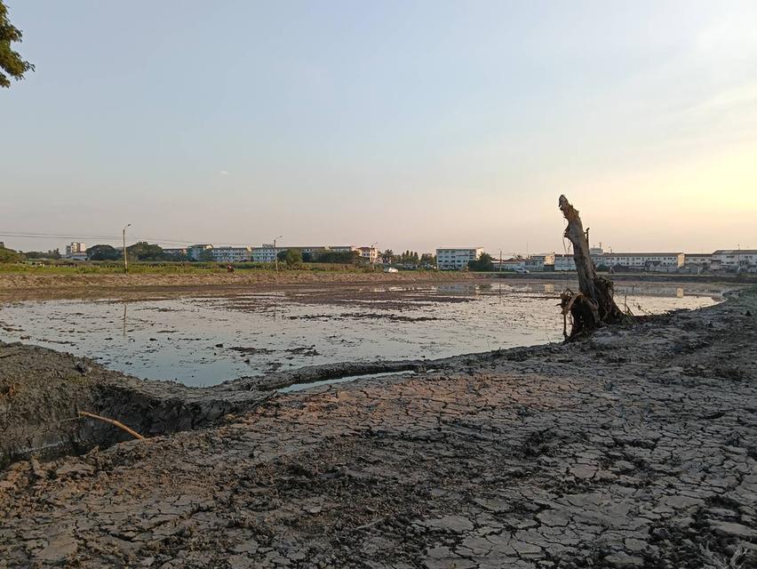 ขายที่ดิน 2 แปลง บางบัวทอง ติดหมู่บ้านเมืองทองธานี 2