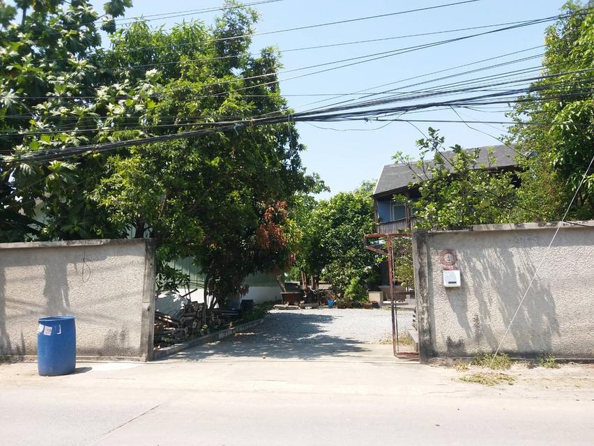 ขายที่ดินพร้อมสิ่งปลูกสร้าง 342 ตรว. ถ. กรุงเทพกรีฑา ซอย 37 แขวงทับช้าง เขตสะพานสูง กรุงเทพๆ 1