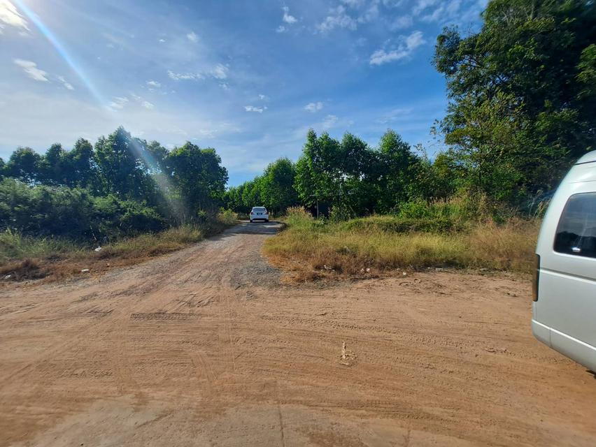 ขายที่ดินติดนิคม 304 ปราจีนบุรี