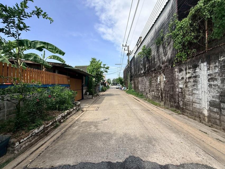 ขายด่วนที่ดิน 119 ตารางวา)(ติดถนนคอนกรีต 2 ซอยเพชรเกษม 81 กระทุ่มแบน สมุทรสาคร 4