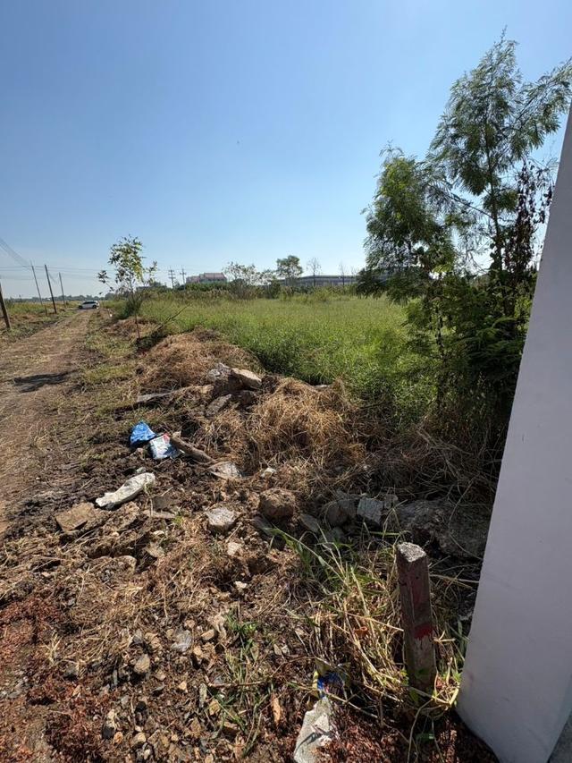 ขายที่ดินถมแล้ว 2 แปลงติดกัน พร้อมโฉนด คลอง 5 ธัญบุรี 2 งาน 80 ตรว. เข้าออกได้ 2 ทาง ใกล้มอเตอร์เวย์ ฟรีโอน 5