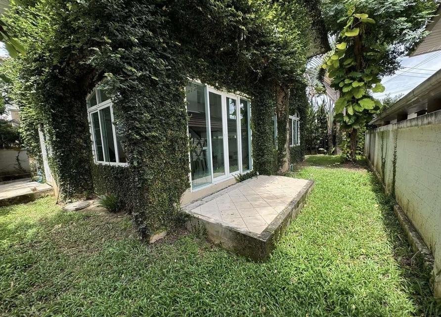 🏡 บ้านเดี่ยว 2 ชั้น ให้เช่า | โครงการคุณภาพ ทำเลเมืองเชียงใหม่ 12