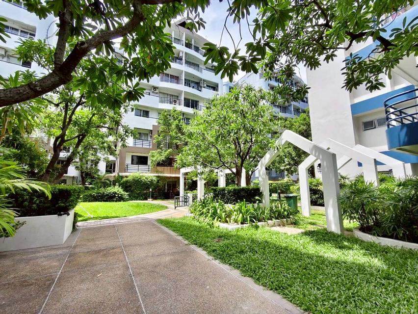 🏠ขาย Waterford Park Rama 4 — ห้องสตูดิโอใหญ่ 54 ตร.ม. ชั้น 3 ใกล้ BTS พระโขนง เพียง 2.59 ล้านบาท! 18