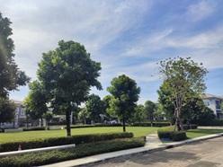 ขายขาดทุน บ้านเดี่ยว 2 ชั้น  ใกล้ฟิวเจอร์พาร์ครังสิต  วิวสวนใหญ่  สภาพดี ยังไม่เคยอยู่อาศัย 4