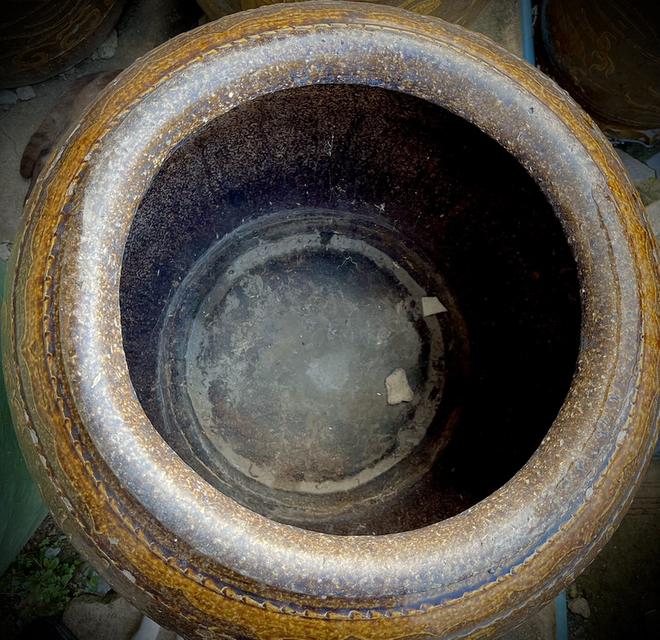 โอ่งเซี่ยงไฮ้ ลายสิงห์ โอ่งโบราณ ลายสิงห์โต โอ่งดินเผาน้ำเคลือบโบราณ 6