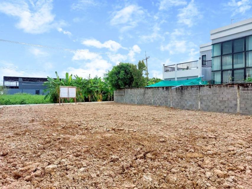 ขายที่ดินถมแล้ว เนื้อที่ 101 ตรว. ย่านรังสิต-ปทุมธานี ทำเลทอง แหล่งชุมชน ซ.บงกช 35 คลองสอง  5