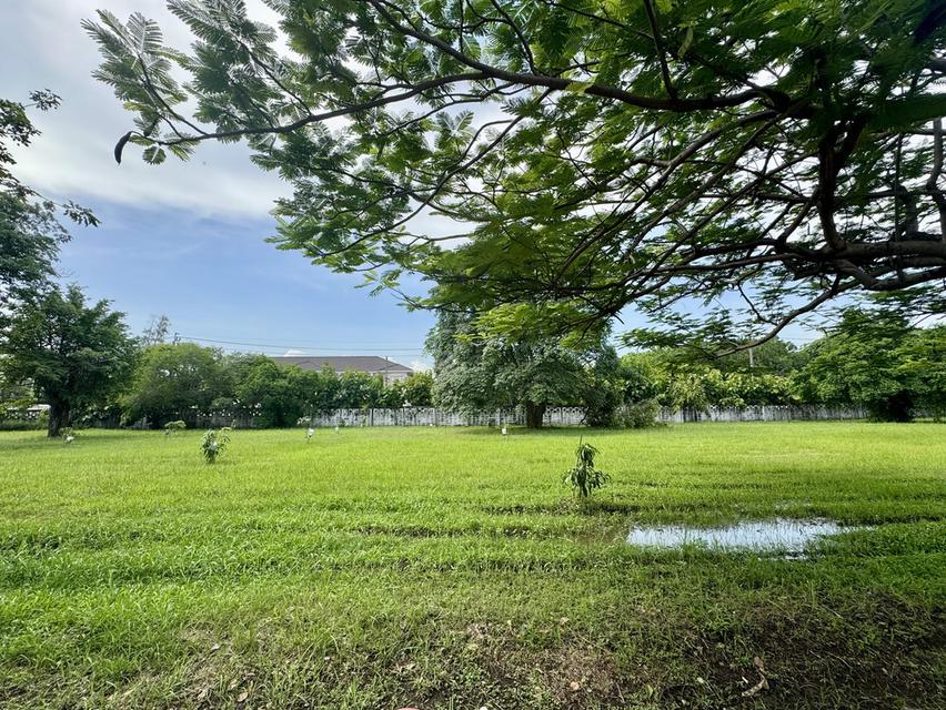 ขายที่ดินในหมู่บ้านวินด์มิลล์ พาร์ค (Windmill Park) อ.บางพลี จังหวัดสมุทรปราการ 3