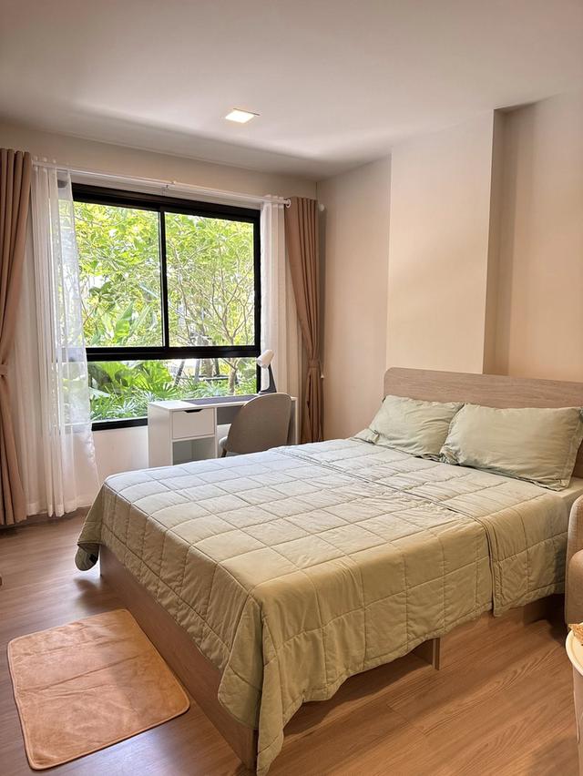 Condo for Rent – Dcondo Reef Kathu, Phuket 5
