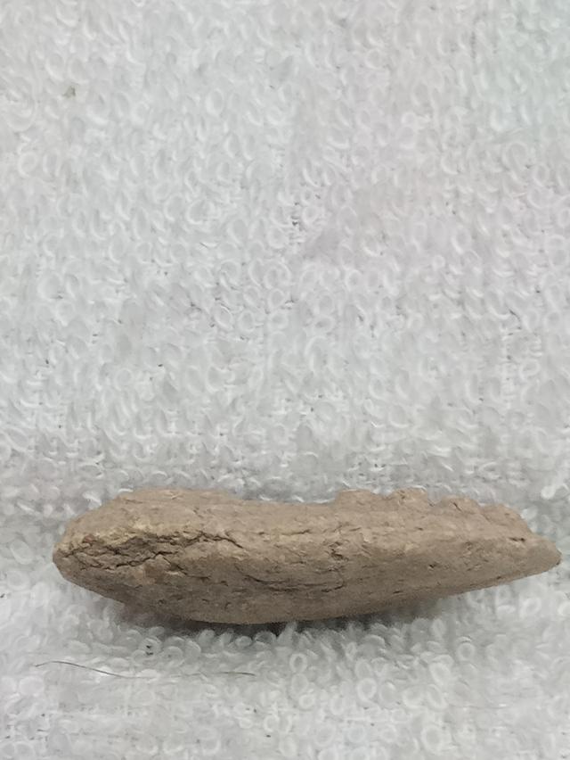 พระนาคปรก วัดพระธาตุพนม ปี2518 4