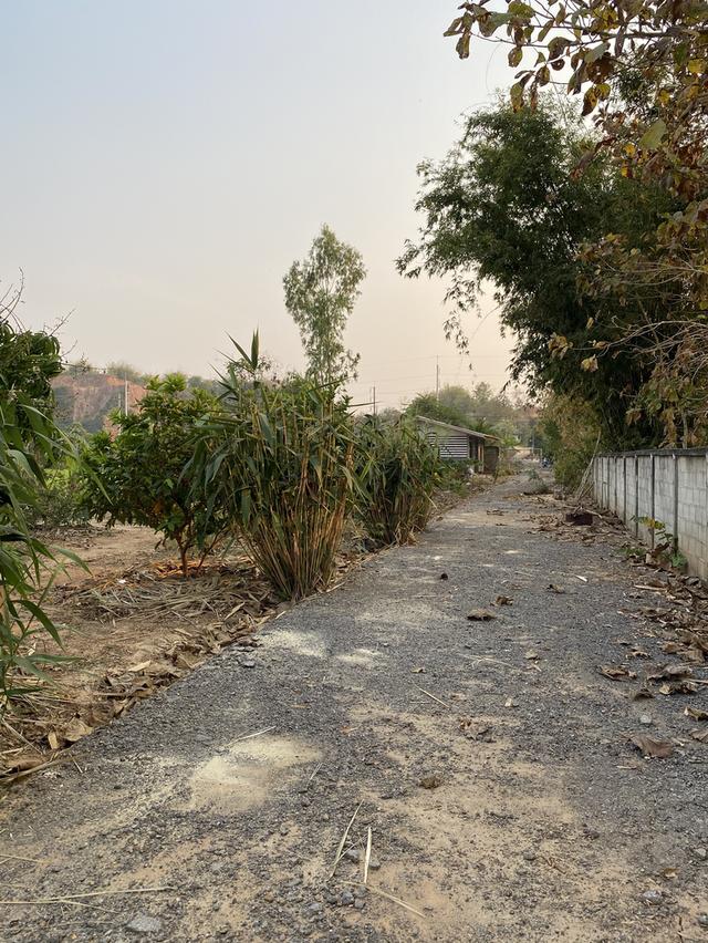 บ้านพร้อมที่ดินถมแล้ว ติดถนนสายหลัก อ.เชียงแสน จ.เชียงราย 3