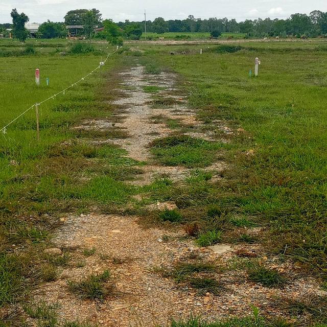 ที่ดิน 1 ไร่ ต.เลาขวัญ อ.เลาขวัญ จ.กาญจนบุรี