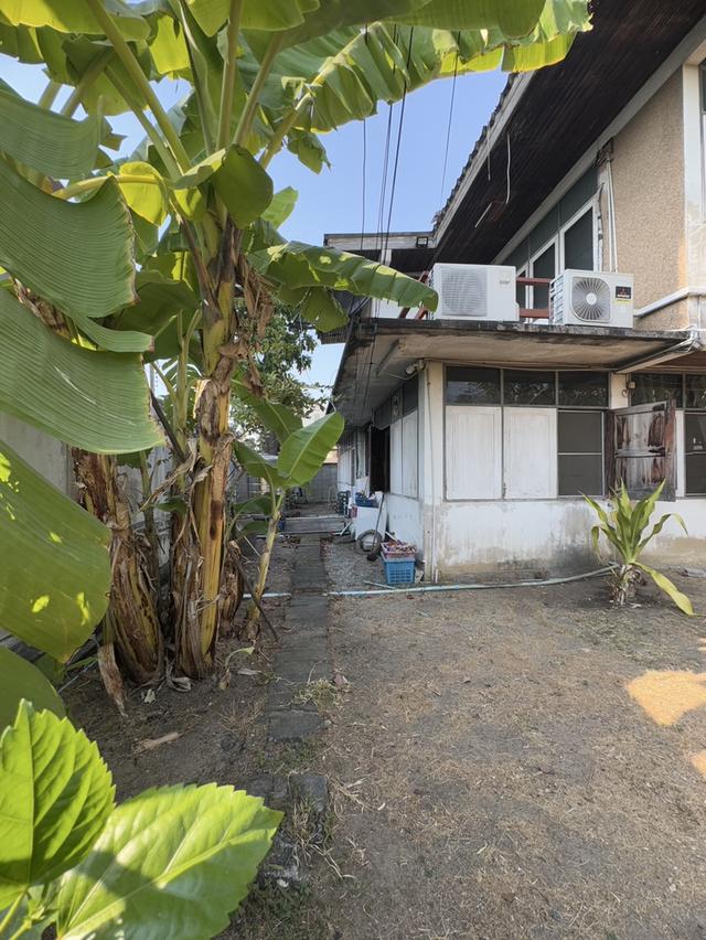 ให้เช่าบ้านเดี่ยว 2 ชั้น พร้อมที่ดิน ซอยสุขุมวิท 97/1 ถนนสุขุมวิท (N.1543) 7