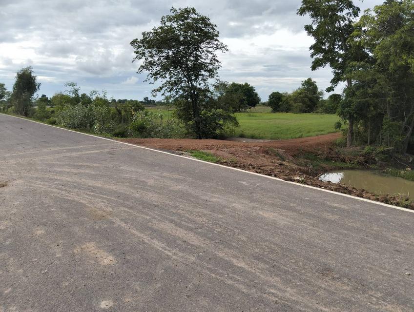 ขายที่ดิน 3 แปลง จังหวัดชัยนาท 16