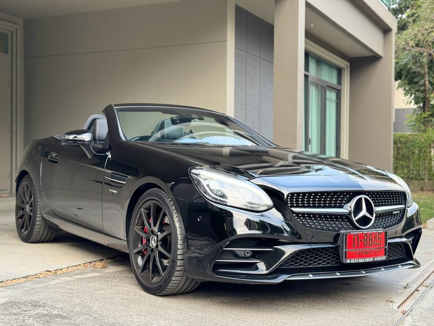 Slc43 AMG