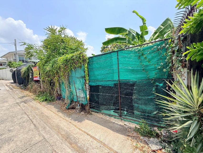 ขายด่วนที่ดินใกล้รถไฟฟ้า 120 ตรว ติดถนนคอนกรีต 2 ด้าน ซ.กาหลง 7,8 เมืองนนทบุรี 3