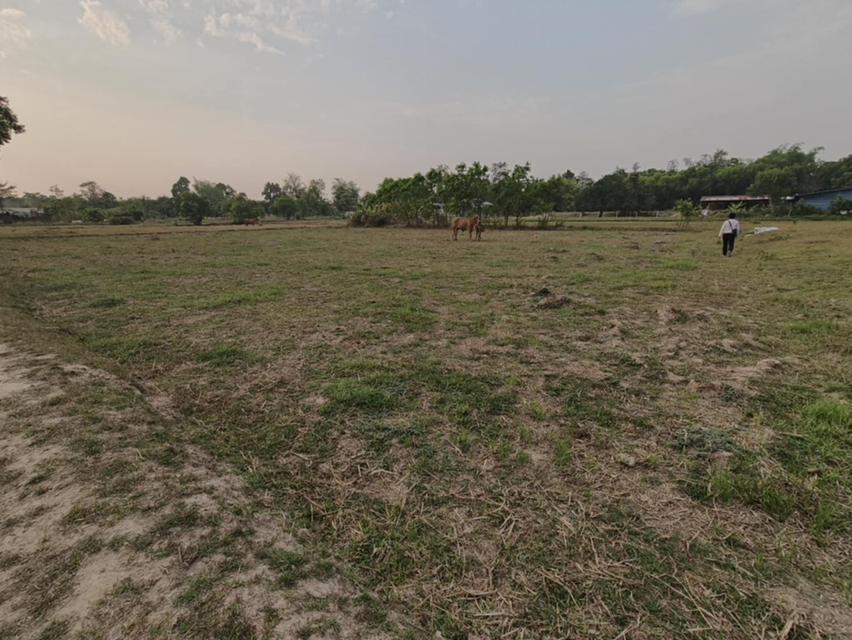 ขายที่ดินแปลงใหญ่ บ้านทุ่งขุนน้อย อุบลราชธานี ** เพียง 1.5 ลบ. ฟรีโอน ** (N.2029) 11