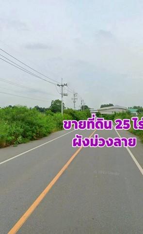ขายที่ดินผังม่วงแปลงยาวฉะเชิงเทราฟรีโอน ใกล้นิคมเกตเวย์ซิตี้ บนเนื้อ 25 ไร่ ผังม่วงลาย อยู่โซนโรงงาน