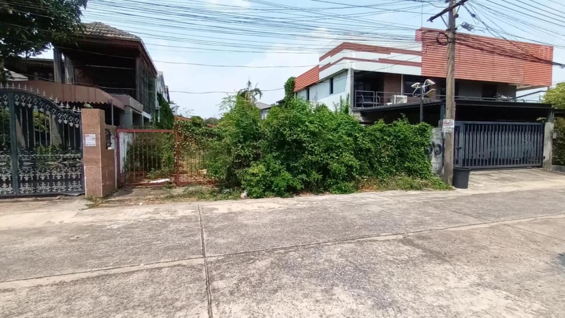 ขายที่ดินหมู่บ้านเสรี พระราม9ซอย41 เนื้อที่ 69 ตรว ฝั่ง The Nine ที่ดินแปลงสวยทำเลดีเหมาะสำหรับสร้างบ้านพักอาศัย ออฟฟิศ 1