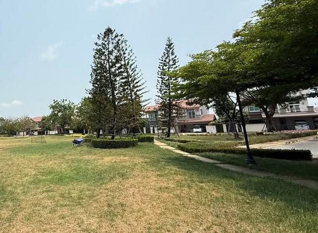 ให้เช่าบ้านเดี่ยว นันทวัน บางนา กม 7 บ้านไซด์ M หน้าสวน หน้าบ้านไม่ตรงใคร 6