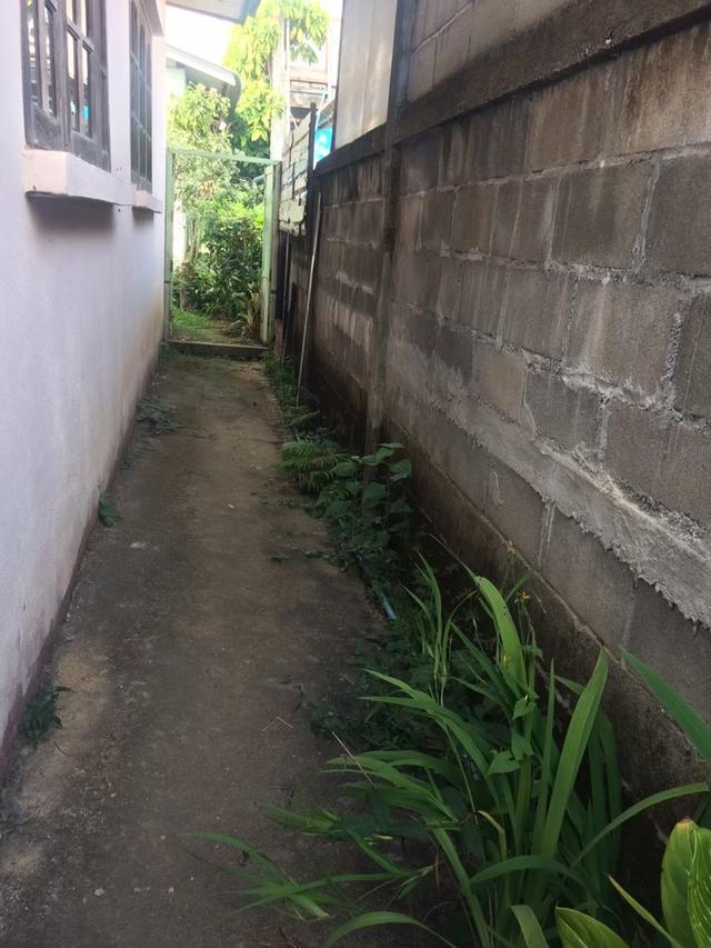 บ้านพร้อมที่ดิน บ้านติดถนน 7