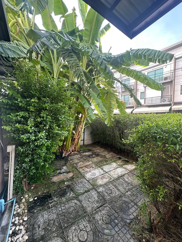 Townhome for Rent (Baan Klang Muang Srinakarin - On Nut) 20
