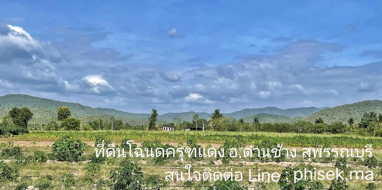 ที่ดินโฉนดครุฑแดงวิวเขา ท้ายติดห้วย 7ไร่ ไร่ละ400,000 อ.ด่านช้าง สุพรรณฯ น้ำไม่ท่วม ใกล้แหล่งท่องเที่ยว โทร : 080-7866949 line id : phisek.ma 1