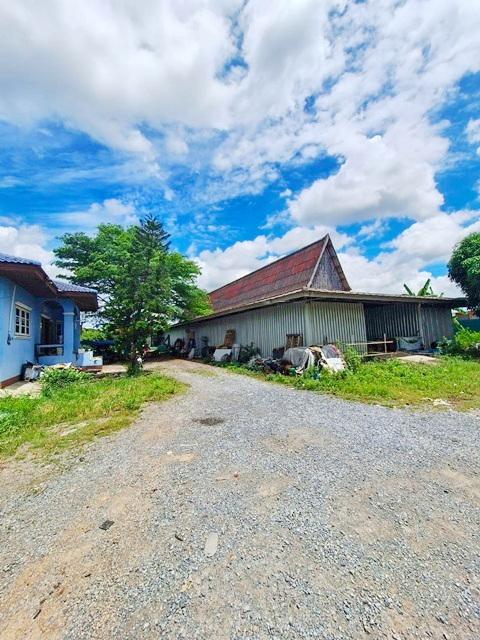 ลำลูกกา ให้เช่าโกดัง โรงงาน 830ตร.ม.ตลาดใหม่รุ่งโรจน์ 210ตร.วา. ถ.นิมิตรใหม่ ตรม.ละ 100บาท รร. เปรมฤทัย ลำลูกกาคลอง 7 2