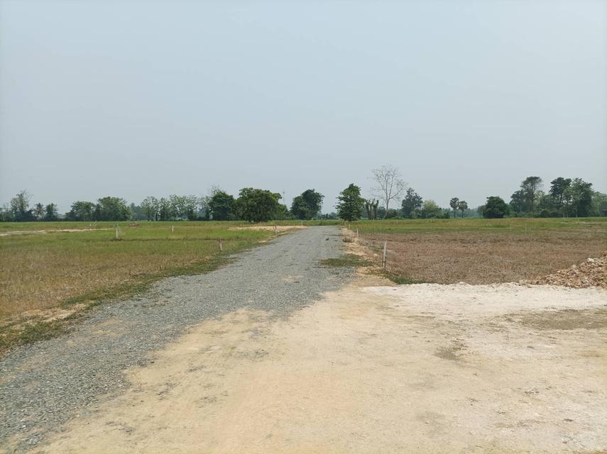 ขายที่ดิน ราคา4,500บาท/ตร.ว. ต.สง่าบ้าน อ.ดอยสะเก็ด เชียงใหม่ 7