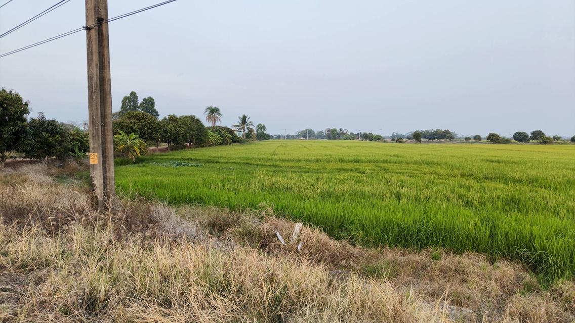 ขายที่ดินบางเตย 7 ไร่ ติดถนนเส้นสี่เลน3481 ใกล้ตลาดบ้านสร้าง-5กม. อ.บ้านสร้าง จ.ปราจีนบุรี 4