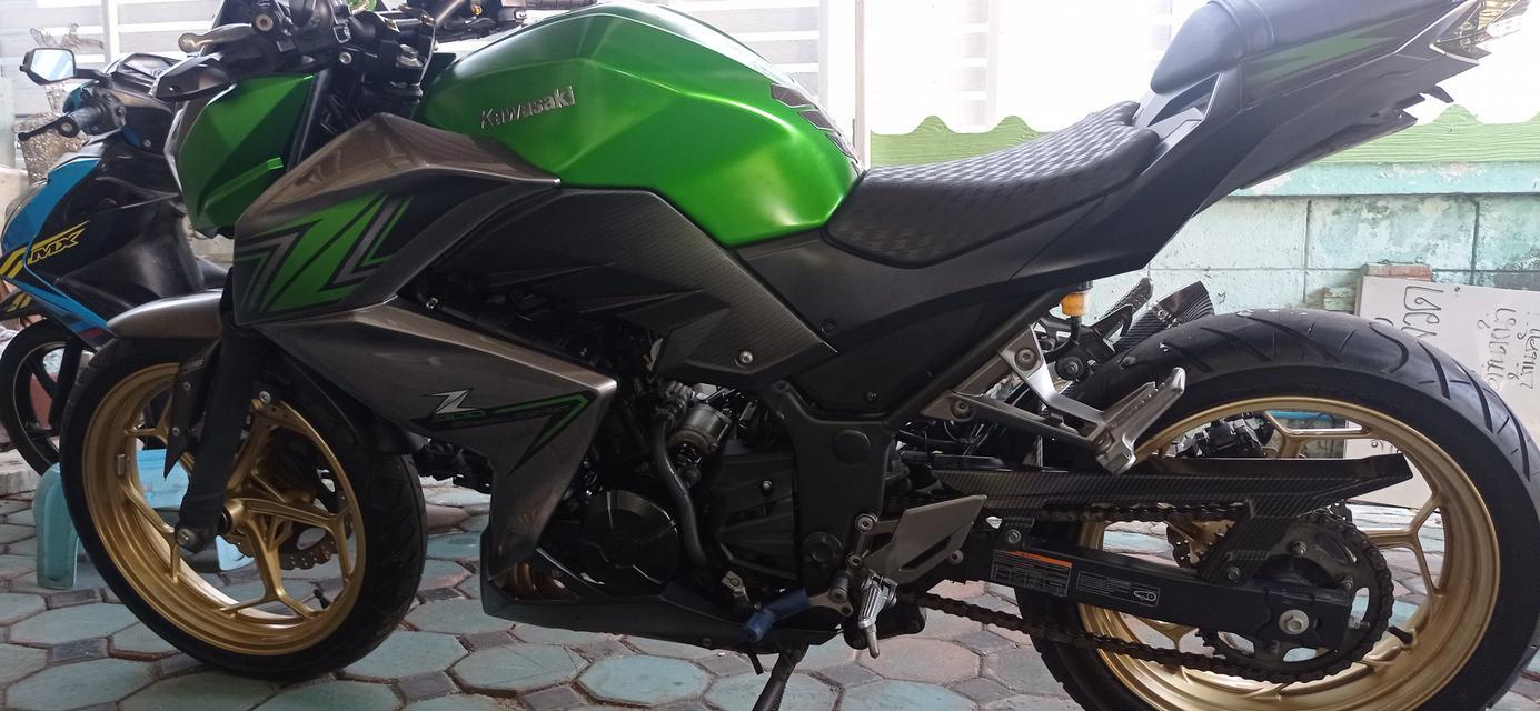 z300 limited edition abs  6