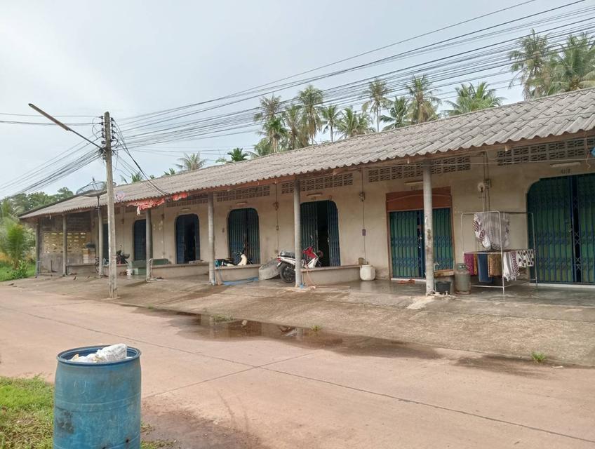 ประกาศขายห้องเช่าจำนวน 10 ห้อง ต.ท่ายาง อ.เมือง จ.ชุมพร 3