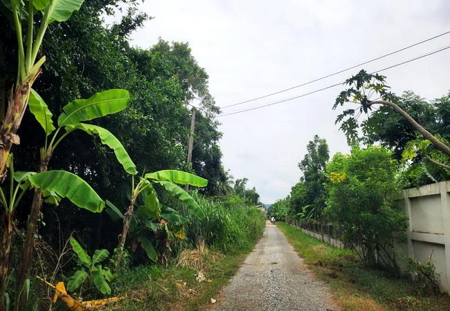 ขายที่ดิน บ่อทอง เทศบาลตำบลธาตุทอง 5 ถนนบ่อทอง ตำบลธาตุทอง อำเภอบ่อทอง ชลบุรี 7